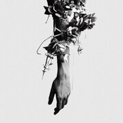 mouse on the keys「the flowers of romance」ジャケット