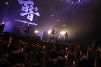 BOOM BOOM SATELLITES（撮影：小坂淳）