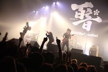 THE BACK HORN（撮影：小坂淳）