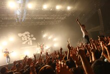 キュウソネコカミ（撮影：小坂淳）