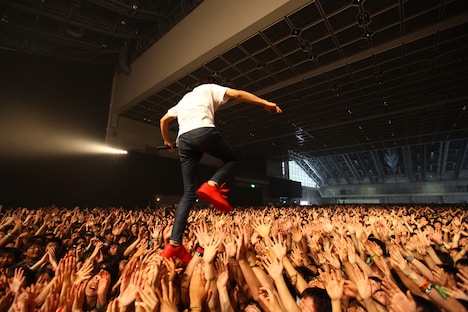 キュウソネコカミ（撮影：小坂淳）