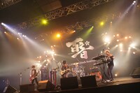 the telephones（撮影：サトウハル）