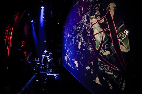 amazarashi 5th anniversary live「APOLOGIES」WWW公演の様子。（提供：ソニー・ミュージックアソシエイテッドレコーズ）