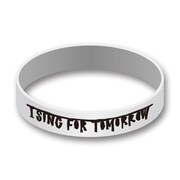 ストレイテナー「NO ～命の跡に咲いた花～」初回限定盤に付属するラバーバンド。