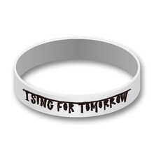 ストレイテナー「NO ～命の跡に咲いた花～」初回限定盤に付属するラバーバンド。