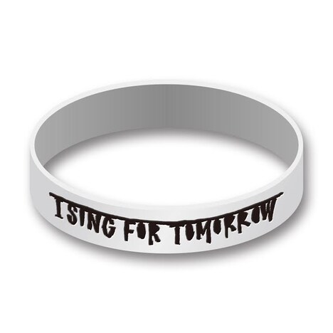 ストレイテナー「NO ～命の跡に咲いた花～」初回限定盤に付属するラバーバンド。