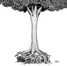 ストレイテナー「NO ～命の跡に咲いた花～」ジャケット