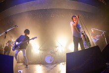 つばき（撮影：古溪一道）