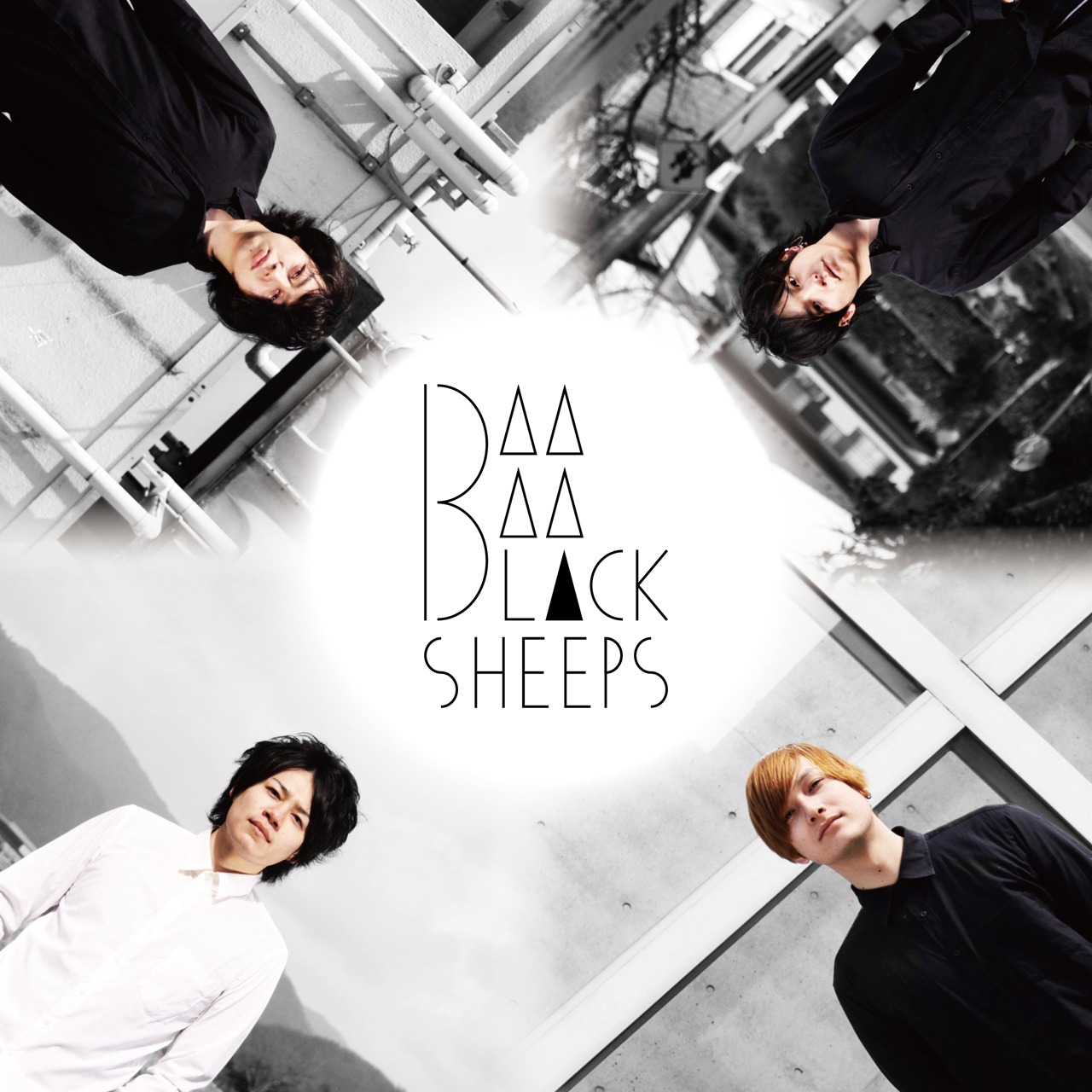 Baa Baa Blacksheeps