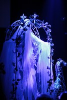 東京・clubasia公演の様子。（撮影：ellenote photography）