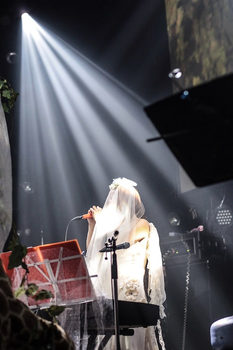 ボンジュール鈴木（撮影：ellenote photography）