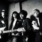 ドレスコーズ、「やついフェス」サポートはKING BROTHERS