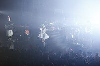 東京・Zepp Tokyo公演の様子。（撮影：ミヨシツカサ）