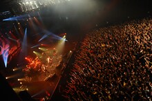 「BLUE ENCOUNT TOUR 2015 GRAB THE LIGHT」ツアーファイナルの様子。（Photo by MASANORI FUJIKAWA）