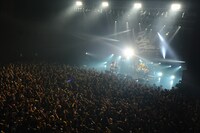 「BLUE ENCOUNT TOUR 2015 GRAB THE LIGHT」ツアーファイナルの様子。（Photo by MASANORI FUJIKAWA）