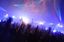 「BLUE ENCOUNT TOUR 2015 GRAB THE LIGHT」ツアーファイナルの様子。（Photo by MASANORI FUJIKAWA）