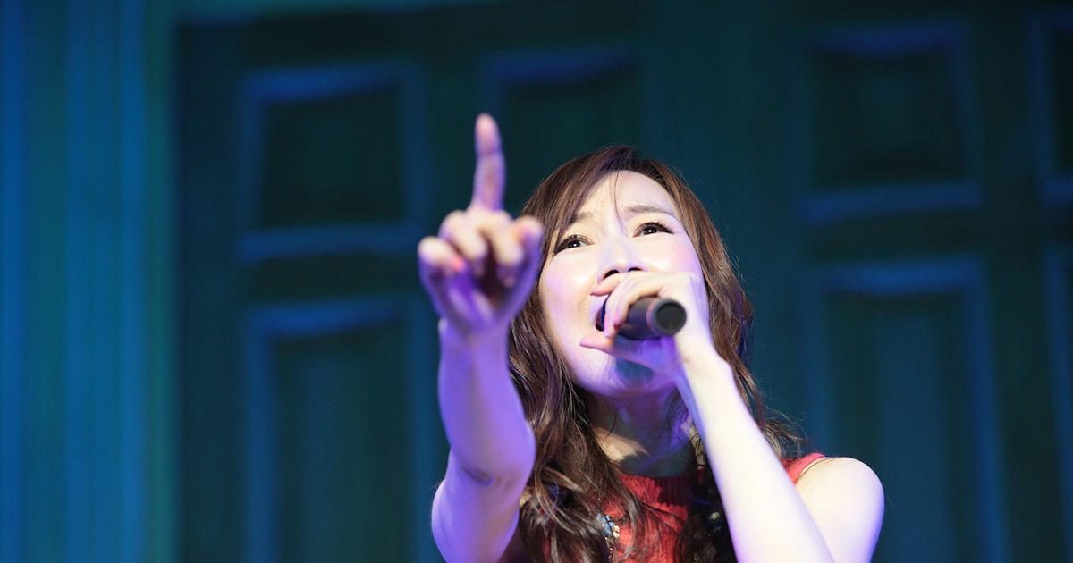 森口博子30周年盤であの曲セルフカバー、初回盤にはライブ詰め合わせBD 