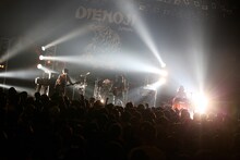 Wienners（Photo by Viola Kam）