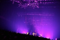 Wienners（Photo by Viola Kam）