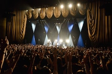 THE BAWDIES「Shake! Shout! & Soul!」東京・中野サンプラザ公演の様子。（Photo by RUI HASHIMOTO[SOUND SHOOTER]）