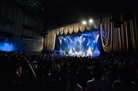 THE BAWDIES「Shake! Shout! & Soul!」東京・中野サンプラザ公演の様子。（Photo by RUI HASHIMOTO[SOUND SHOOTER]）