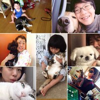 「ワンニャンハピネス」イメージ