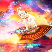 Dachambo5年ぶりニューアルバム「PURiFLY」発売、股間から始まるMVも