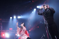 左から浜崎容子（Vo）、松永天馬（Vo）。（撮影：名鹿祥史）