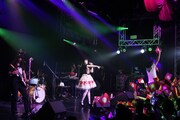 「春を売れ！SPRING SALE TOUR」東京・新宿ReNY公演の様子。（撮影：名鹿祥史）