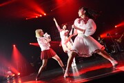 「ベイビーレイズ JAPAN SPRING TOUR 2015 -IDOROCK SENSATION-」の様子。