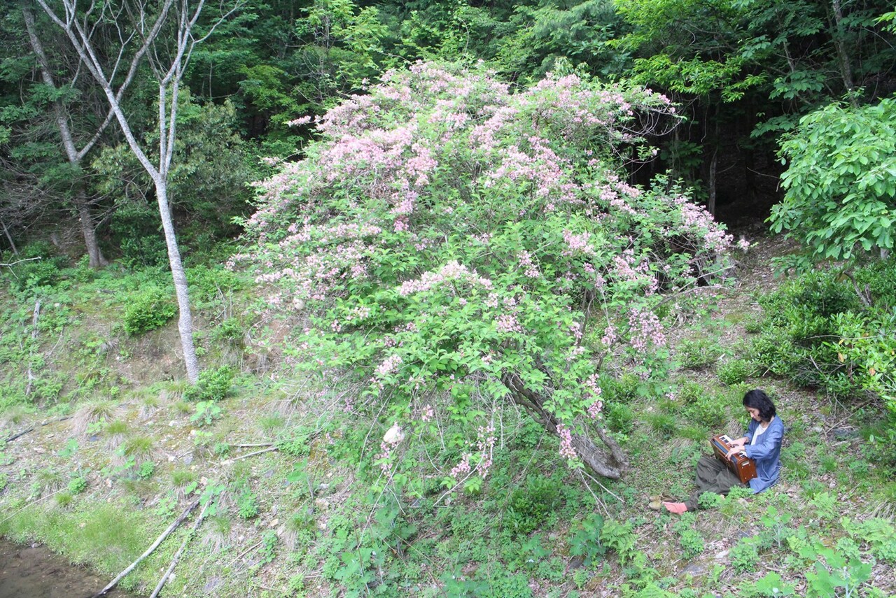 高木正勝、5年ぶりバンド編成のホールコンサート「山咲み」