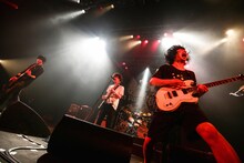 9mm Parabellum Bullet「カオスの百年 vol.11」の様子。（撮影：渡邉 一生）