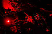 「MITAI KIKITAI UTAITAI」下北沢SHELTER公演の様子。（撮影：ミヨシツカサ）