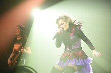 PERSONZ「ROAD TO BUDOKAN FINAL DREAMERS ONLY SPECIAL 2014-2015」の様子。