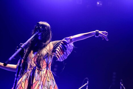 パスピエ（撮影：鳥居洋介）