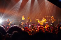 女王蜂「アルバム『奇麗』リリースツアー『女神たちの売春』」東京・赤坂BLITZ公演の様子。（撮影：中野修也）