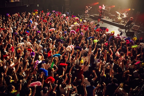 女王蜂「アルバム『奇麗』リリースツアー『女神たちの売春』」東京・赤坂BLITZ公演の様子。（撮影：中野修也）