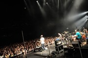 the band apart「7th album“謎のオープンワールド”release live SMOOTH LIKE BUTTER TOUR」東京・EX THEATER ROPPONGI公演の様子。（撮影：岡本麻衣［ODD JOB LTD.］）