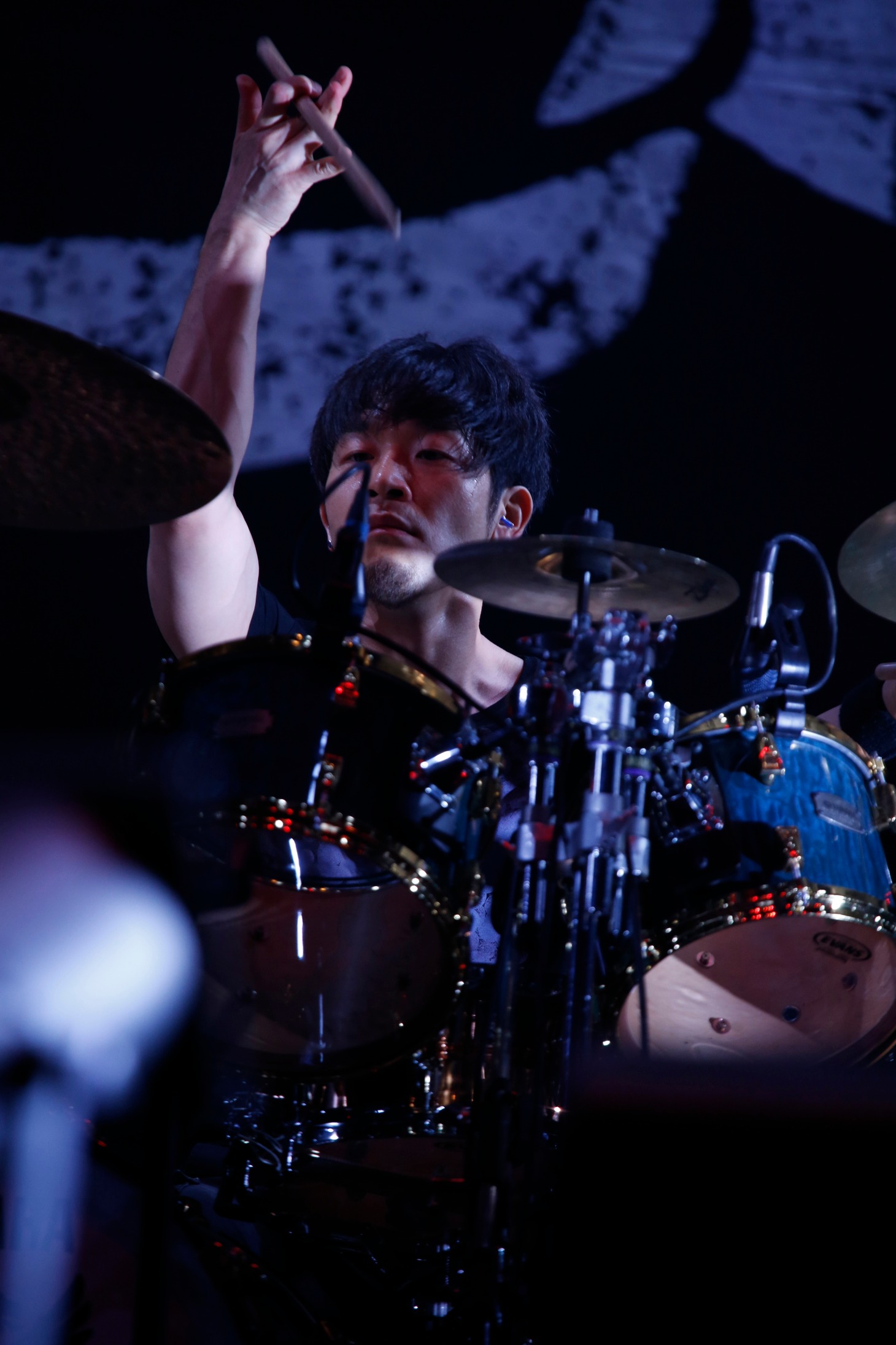 9mm Parabellum Bullet（写真提供：LUNATIC FEST.）