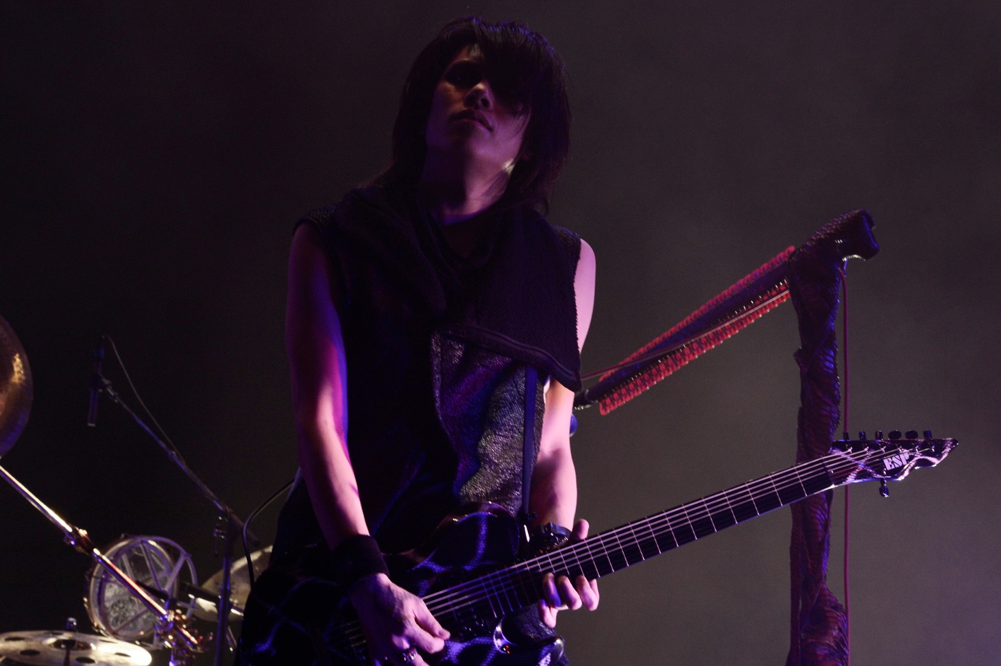 DIR EN GREY（写真提供：LUNATIC FEST.）