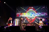the telephones（写真提供：LUNATIC FEST.）