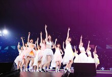 乃木坂46のライブの様子。