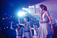 乃木坂46のライブの様子。
