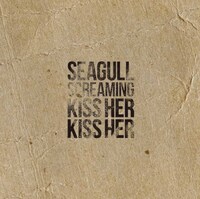 SEAGULL SCREAMING KISS HER KISS HERアナログ「DOWN TO MEXICO / DAMN’IT I KNOW WHAT I AM」ジャケット