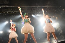 乙女新党によるライブの様子。