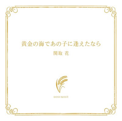 関取花「黄金の海であの子に逢えたなら」ジャケット