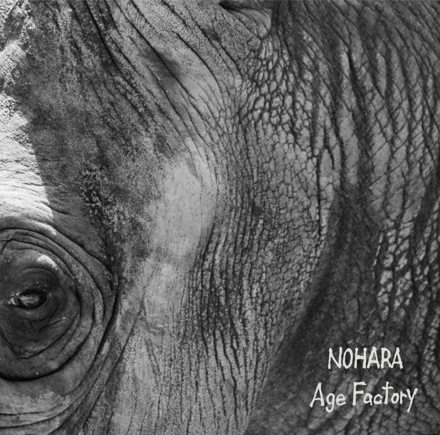 Age Factory「NOHARA」ジャケット