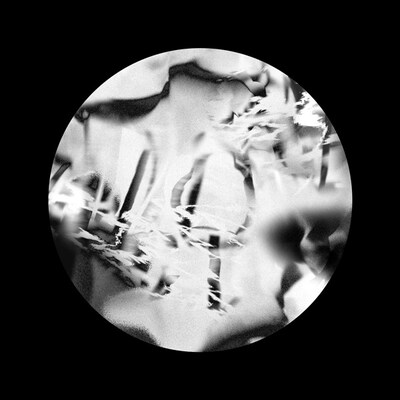 PELICAN FANCLUB「PELICAN FANCLUB」ジャケット