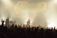 フジファブリック（撮影：河本悠貴）