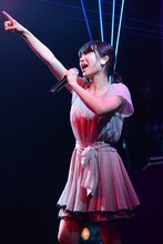 クルミクロニクル